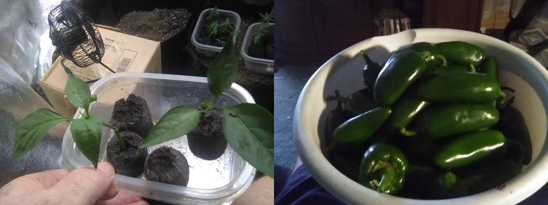 “This was all possible with help from Prime Superior! Best clone product I’ve ever tried.”
“I am 60 years old but I’m like a kid with a new toy.”
- Bob from Southern USA